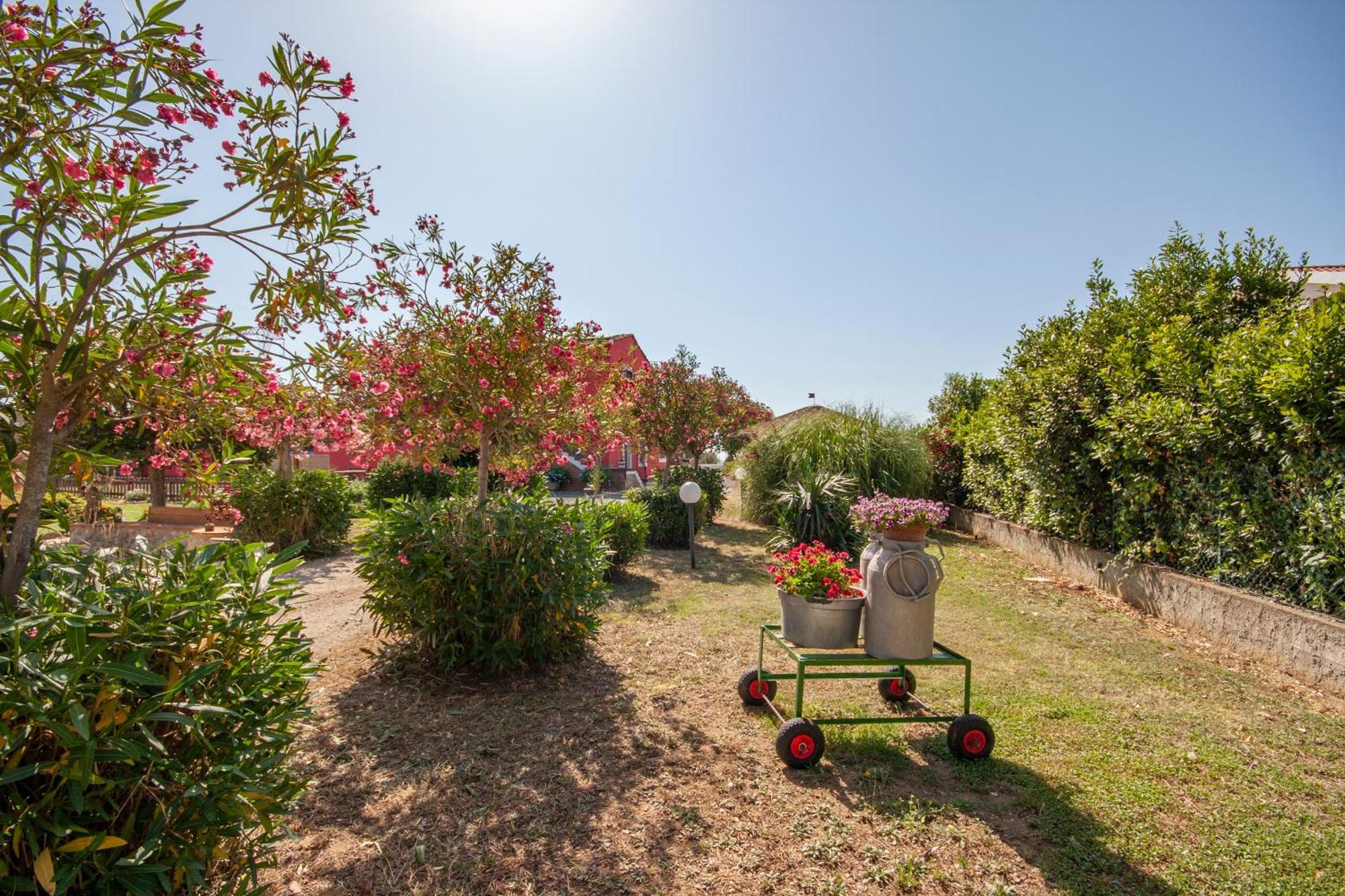 Agriturismo L'Istrice Di Gio Монтальто-ді-Кастро Екстер'єр фото